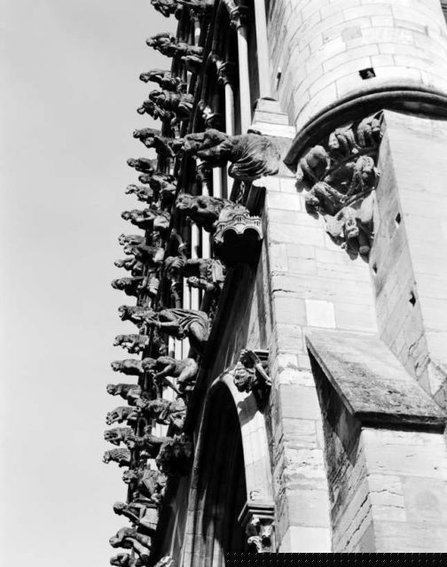 notredamededijon.jpg