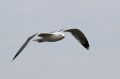 img_6974.jpg