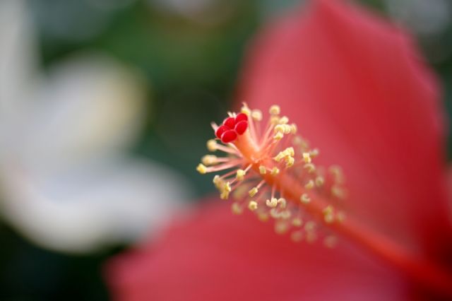 img_6932.jpg
