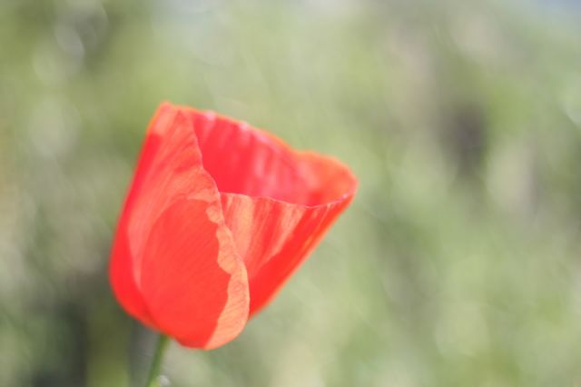 img_7281.jpg