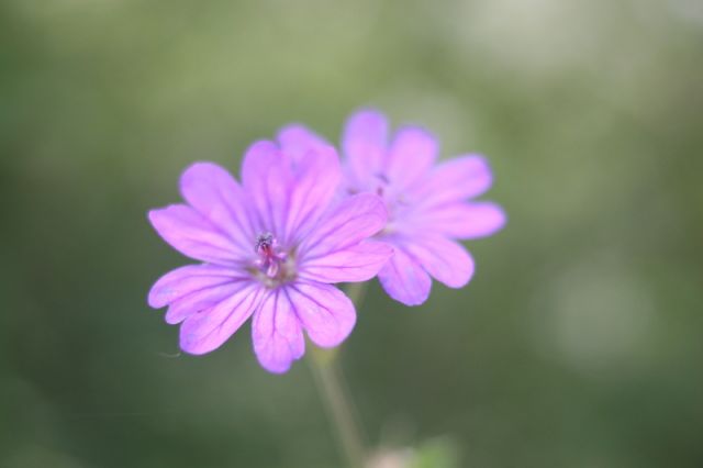 img_7309.jpg