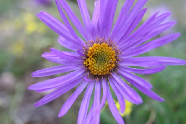 img_7357.jpg