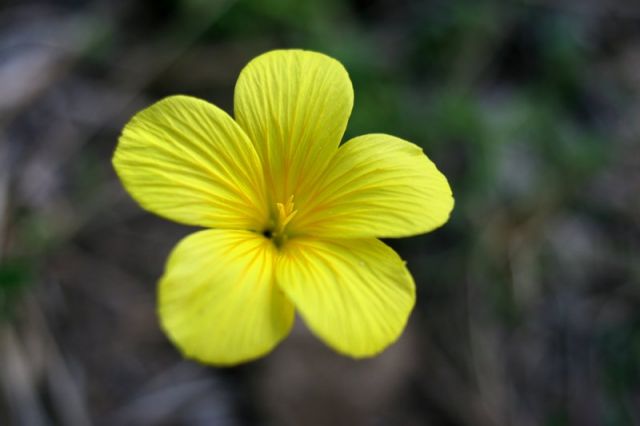 img_7490.jpg