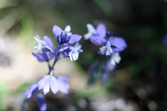 img_7492.jpg