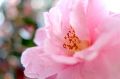 img_6886.jpg