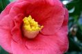 img_6892.jpg