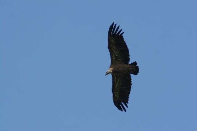 img_7383a.jpg