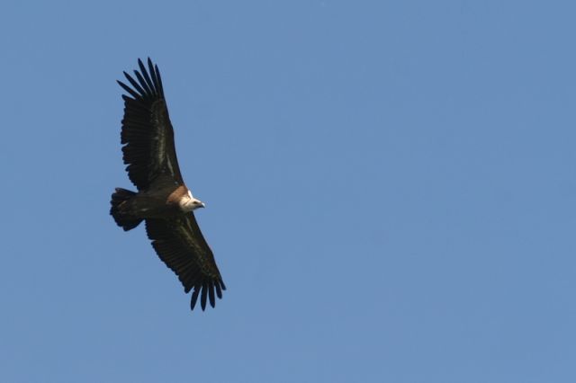 img_7405a.jpg