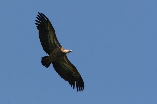 img_7436a.jpg