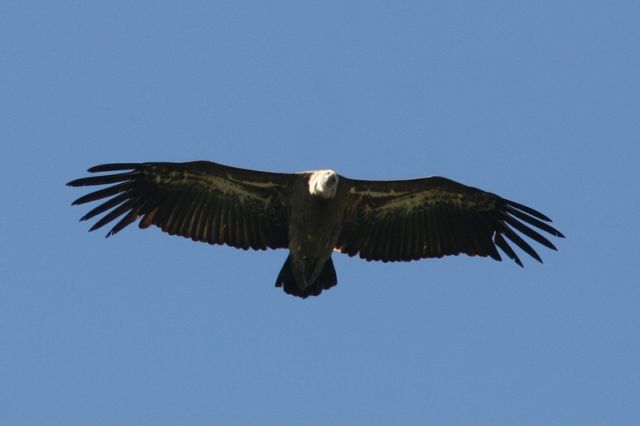 img_7459a.jpg