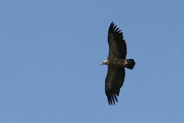img_7467a.jpg