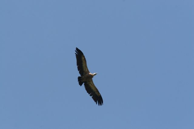 img_7483a.jpg