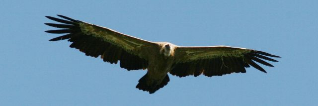 img_7530a.jpg