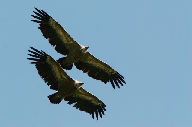 img_7532a.jpg