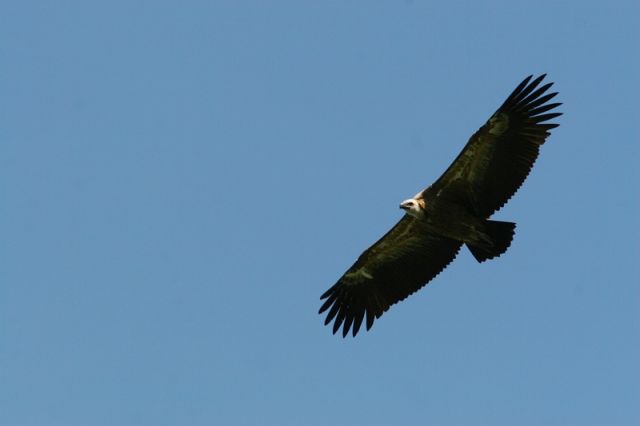 img_7549a.jpg