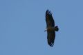 img_7383a.jpg