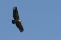 img_7405a.jpg