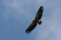 img_7416a.jpg