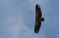 img_7419a.jpg