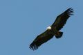 img_7509a.jpg