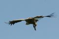 img_7541a.jpg
