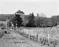 image aleatoire