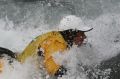 2008-11-23_Freestyle_Millau_012.jpg