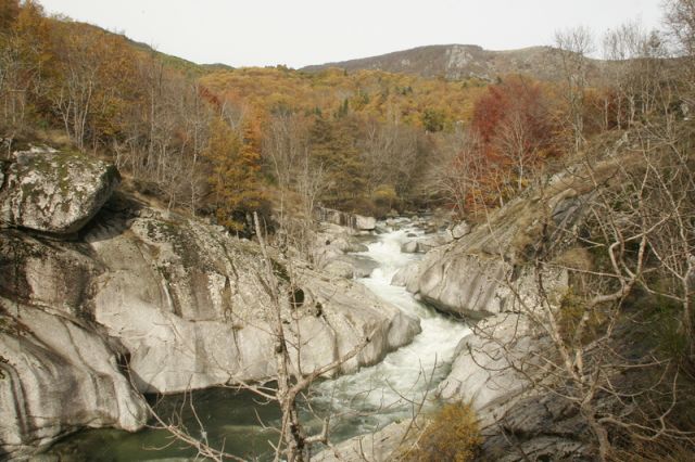 2008-11-09_Haute_Dourbie_003.jpg
