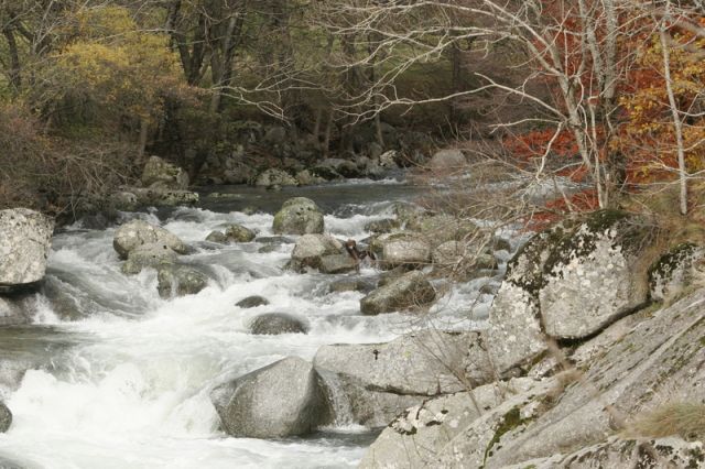 2008-11-09_Haute_Dourbie_009.jpg