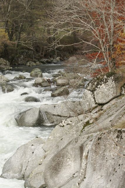 2008-11-09_Haute_Dourbie_014.jpg