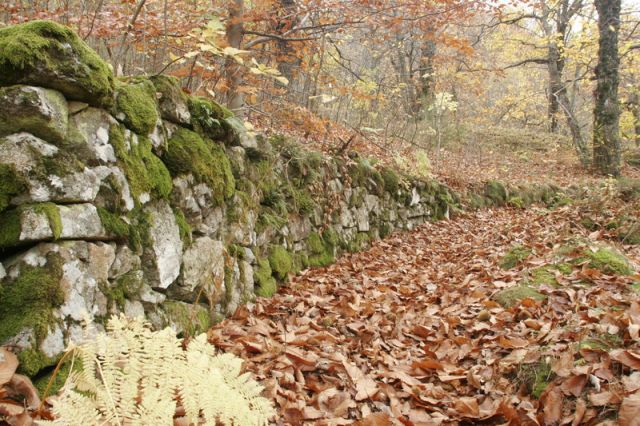2008-11-09_Haute_Dourbie_241.jpg