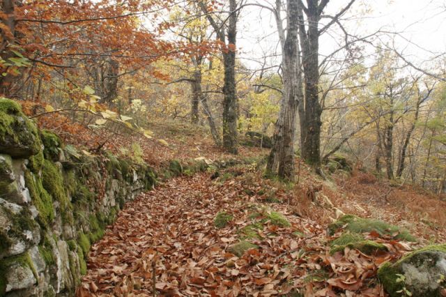 2008-11-09_Haute_Dourbie_244.jpg