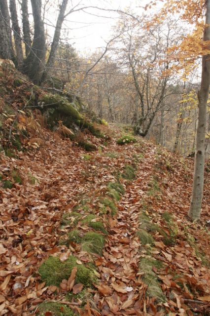 2008-11-09_Haute_Dourbie_246.jpg