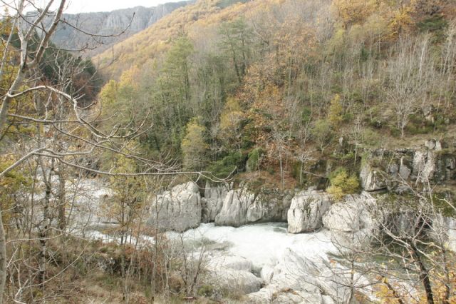 2008-11-09_Haute_Dourbie_248.jpg