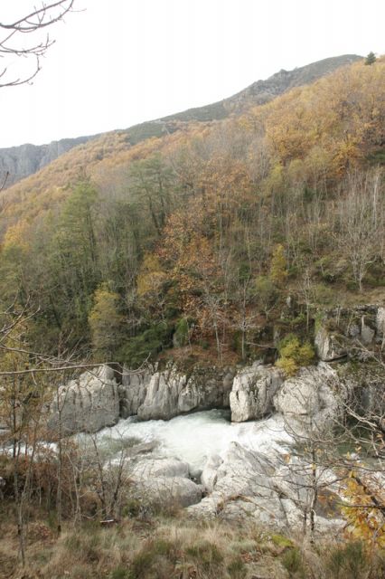 2008-11-09_Haute_Dourbie_249.jpg