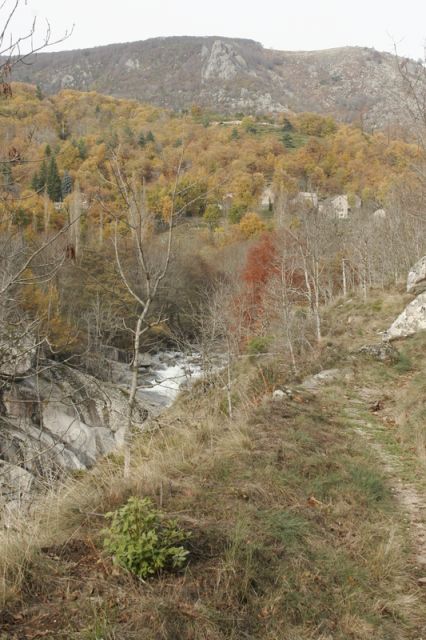 2008-11-09_Haute_Dourbie_250.jpg
