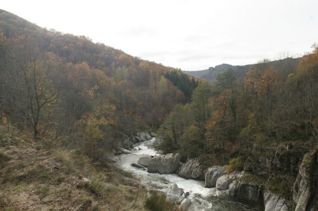2008-11-09_Haute_Dourbie_252.jpg