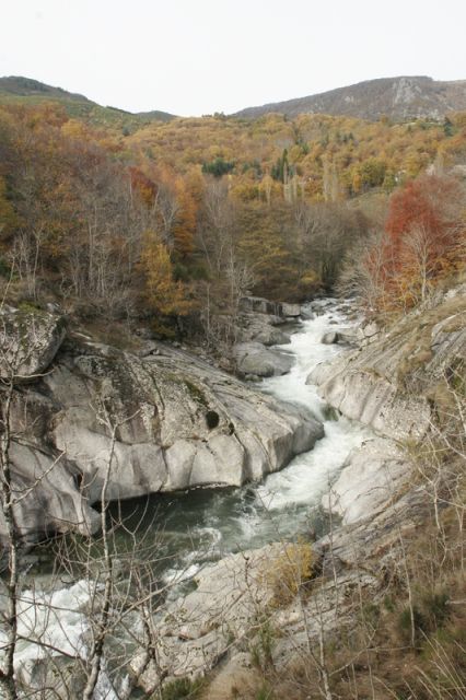 2008-11-09_Haute_Dourbie_253.jpg