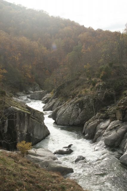 2008-11-09_Haute_Dourbie_256.jpg