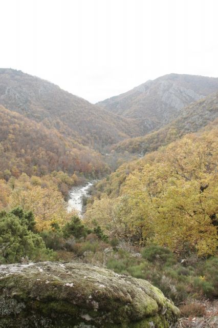 2008-11-09_Haute_Dourbie_261.jpg