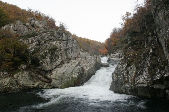 2008-11-09_Haute_Dourbie_262.jpg