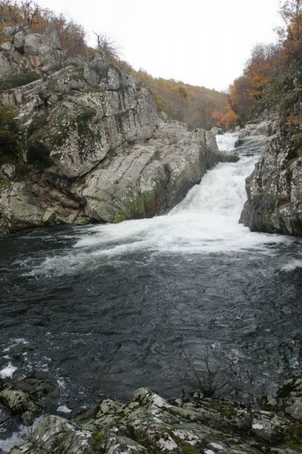 2008-11-09_Haute_Dourbie_263.jpg