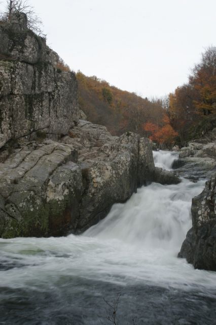 2008-11-09_Haute_Dourbie_266.jpg