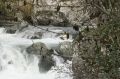 2008-11-09_Haute_Dourbie_205.jpg