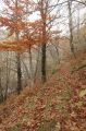 2008-11-09_Haute_Dourbie_240.jpg