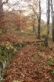 2008-11-09_Haute_Dourbie_242.jpg