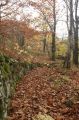 2008-11-09_Haute_Dourbie_243.jpg