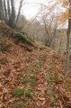 2008-11-09_Haute_Dourbie_246.jpg