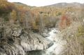 2008-11-09_Haute_Dourbie_255.jpg