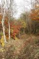 2008-11-09_Haute_Dourbie_257.jpg